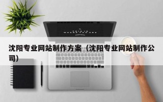 渠县沈阳专业网站制作方案（沈阳专业网站制作公司）